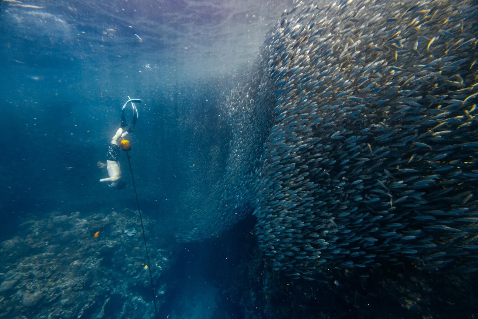 Tours y entradas para Napaling Reef
